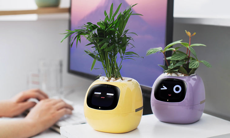 Plantsio Ivy Smart Flowerpot featuring interactive home gardening technology with cute emojis and built-in sensors for optimal plant care.