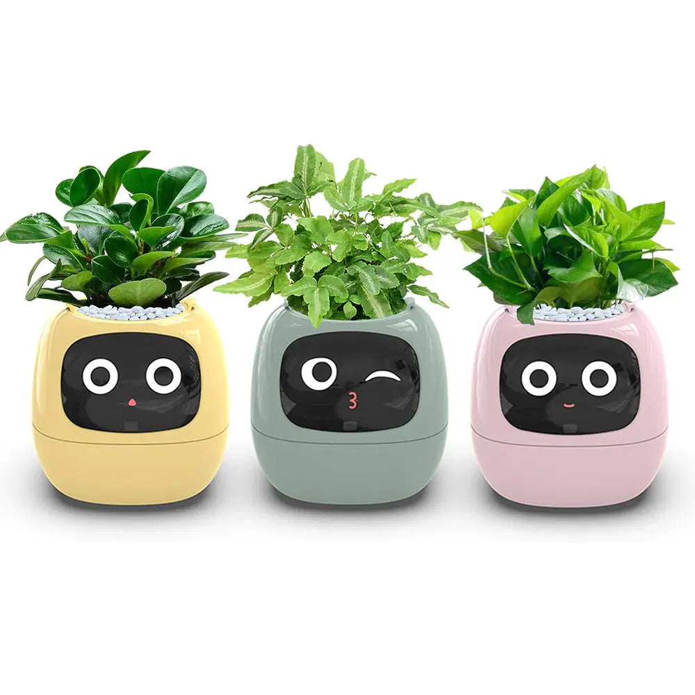 PLANTSIO Ivy Smart Flowerpot: Enhance your indoor or outdoor garden with this innovative smart flowerpot, equipped with advanced technology to monitor and nourish your plants.