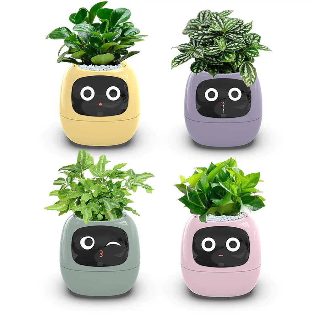 PLANTSIO Ivy Smart Flowerpot: Enhance your indoor or outdoor garden with this innovative smart flowerpot, equipped with advanced technology to monitor and nourish your plants.