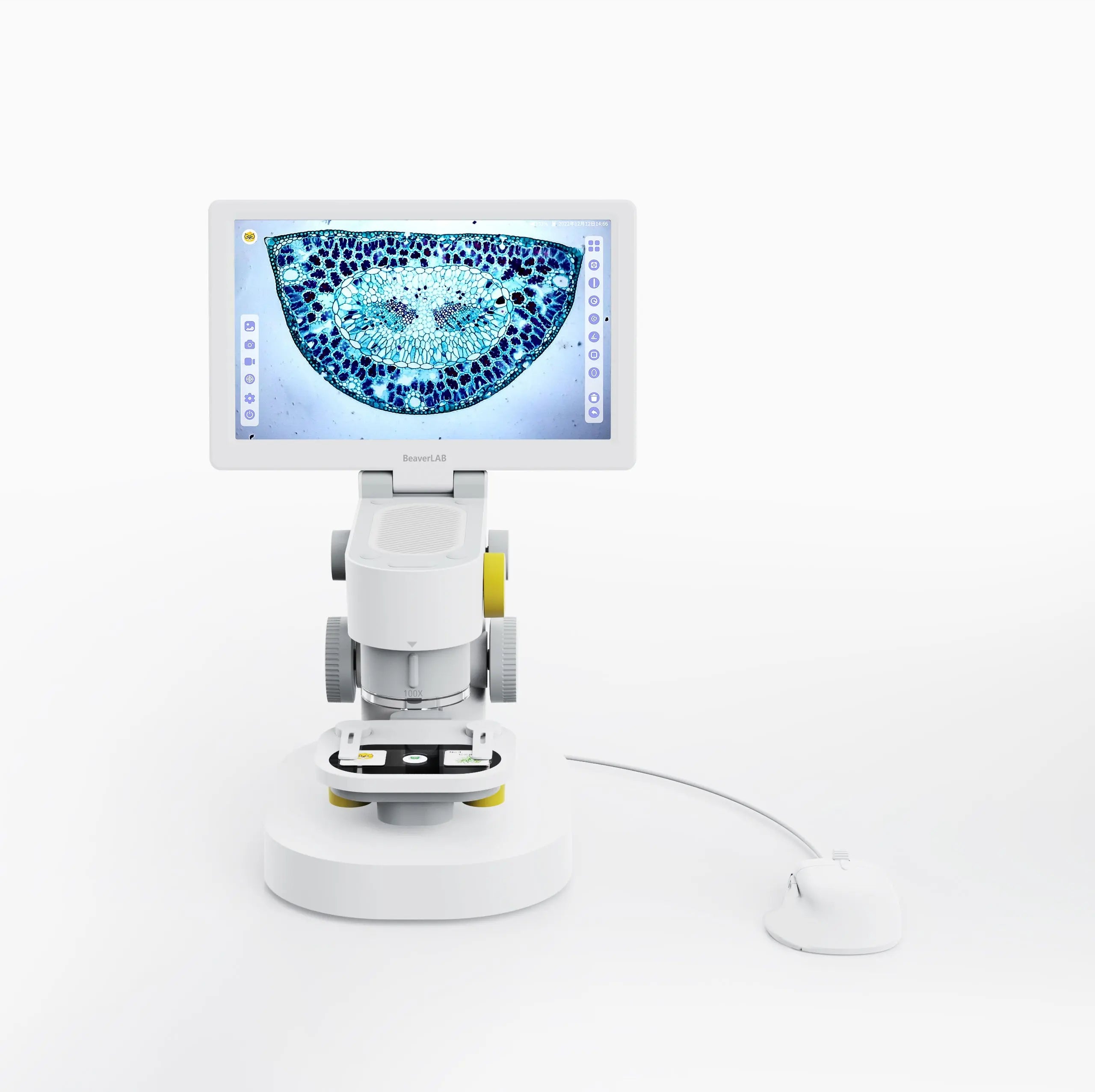 BeaverLAB MX microscope exploring the microscopic world2