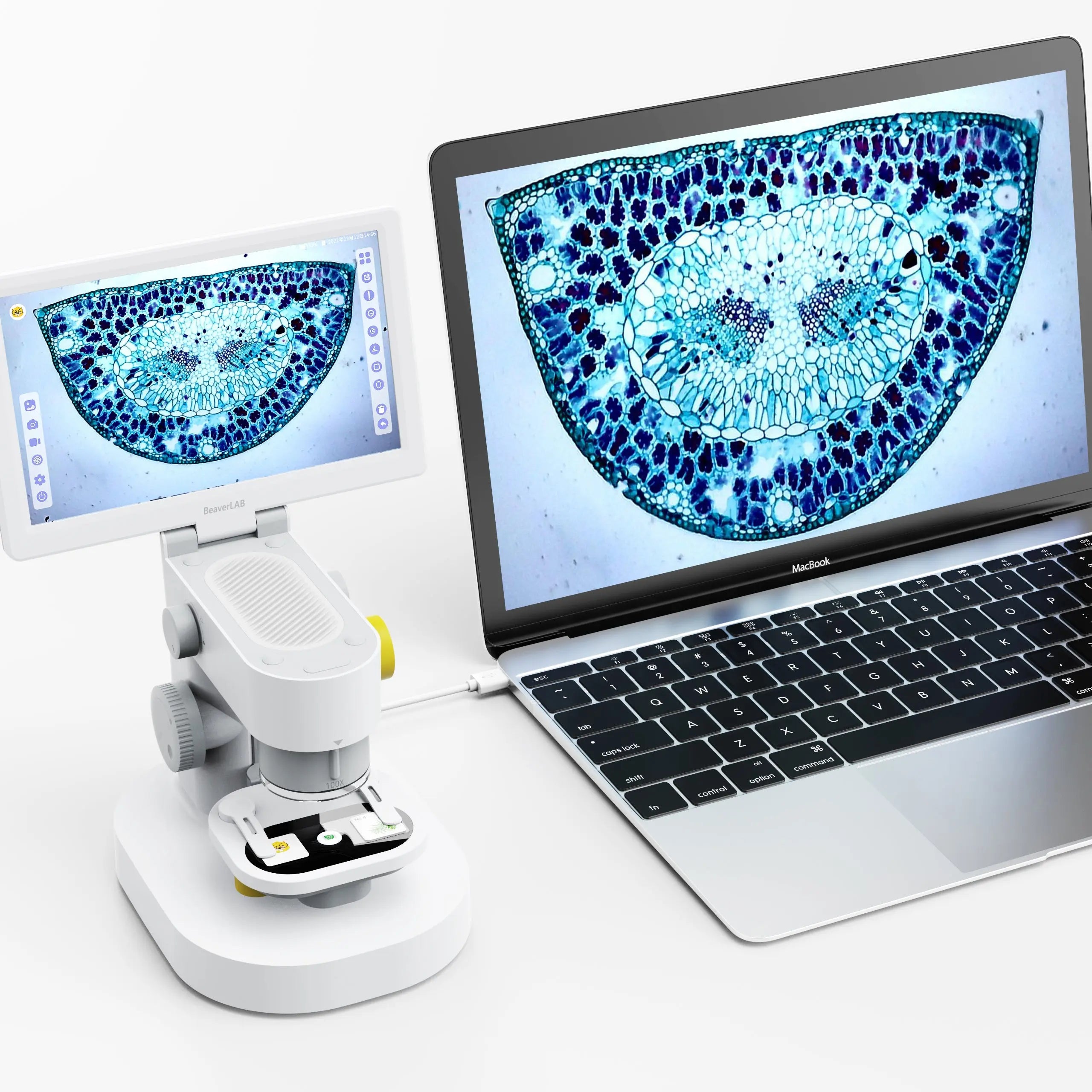 BeaverLAB MX microscope exploring the microscopic world8