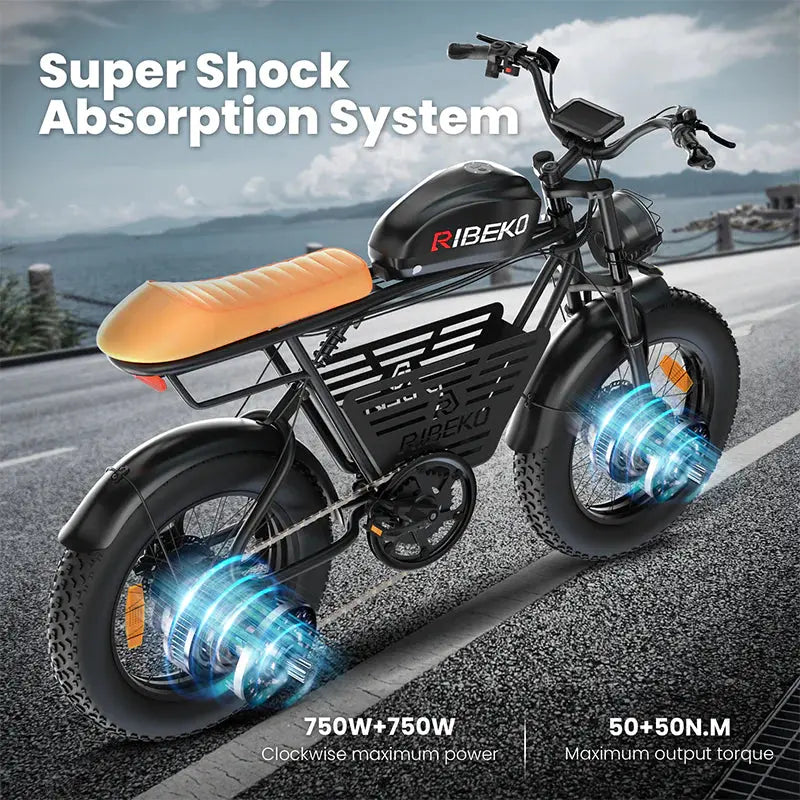 RIBEKO EB-MX60 2024 all-terrain dual motor super endurance electric bike11