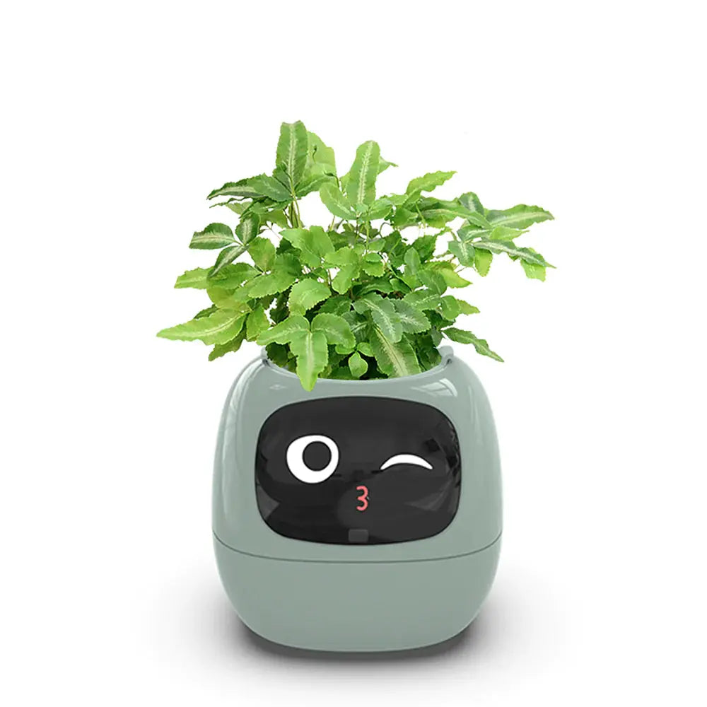 PLANTSIO Ivy Smart Flowerpot: Enhance your indoor or outdoor garden with this innovative smart flowerpot, equipped with advanced technology to monitor and nourish your plants.