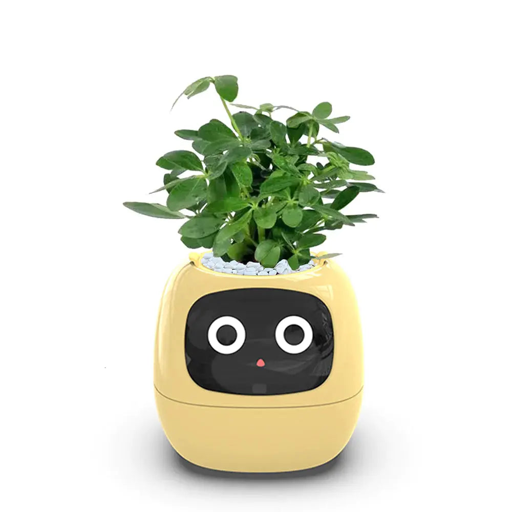 PLANTSIO Ivy Smart Flowerpot: Enhance your indoor or outdoor garden with this innovative smart flowerpot, equipped with advanced technology to monitor and nourish your plants.