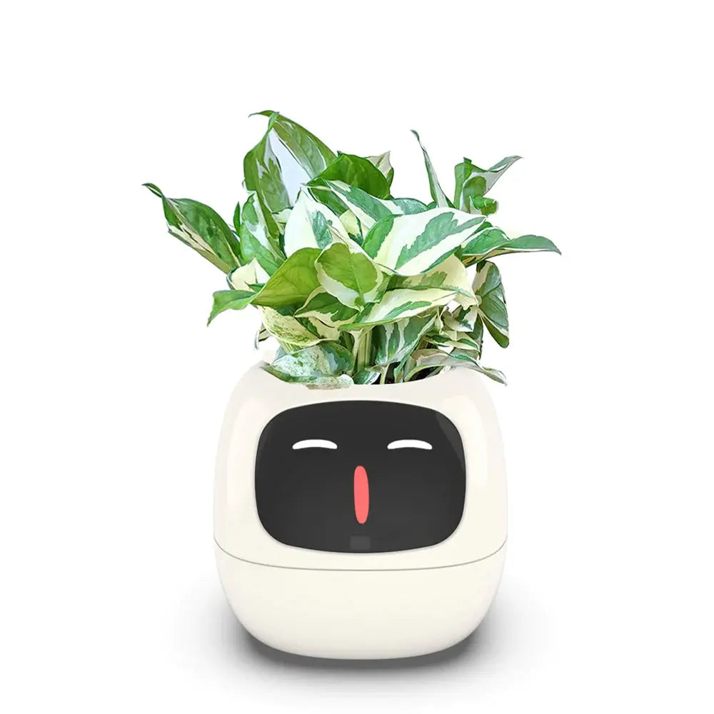 PLANTSIO Ivy Smart Flowerpot: Enhance your indoor or outdoor garden with this innovative smart flowerpot, equipped with advanced technology to monitor and nourish your plants.