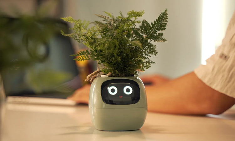 Plantsio Ivy Smart Flowerpot featuring interactive home gardening technology with cute emojis and built-in sensors for optimal plant care.
