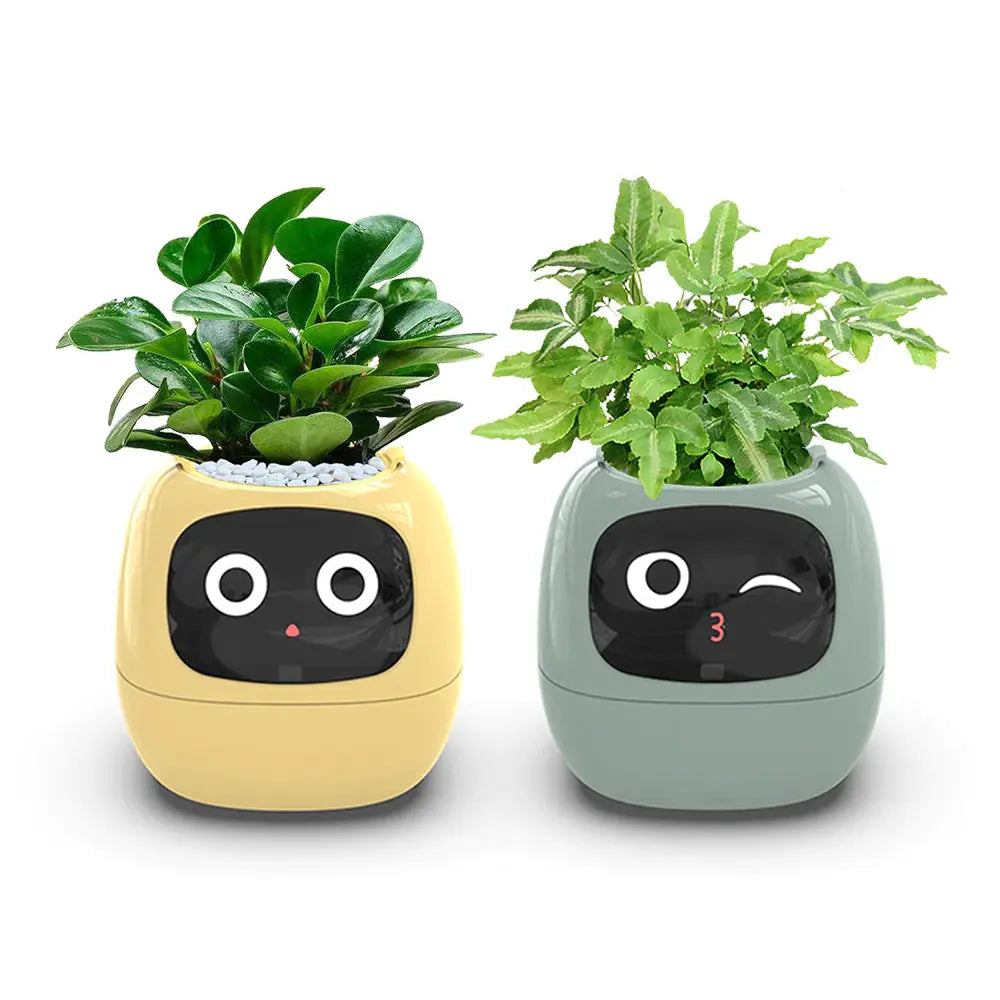 PLANTSIO Ivy Smart Flowerpot: Enhance your indoor or outdoor garden with this innovative smart flowerpot, equipped with advanced technology to monitor and nourish your plants.