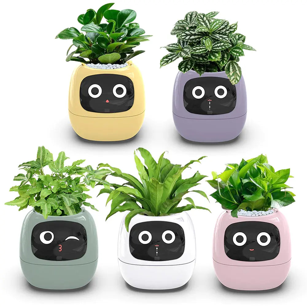 PLANTSIO Ivy Smart Flowerpot: Enhance your indoor or outdoor garden with this innovative smart flowerpot, equipped with advanced technology to monitor and nourish your plants.