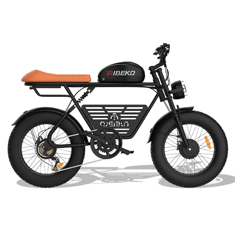 RIBEKO EB-MX60 2024 all-terrain dual motor super endurance electric bike9
