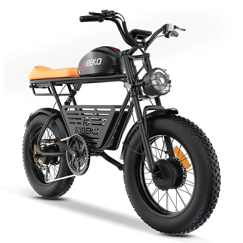 RIBEKO EB-MX60 2024 all-terrain dual motor super endurance electric bike7