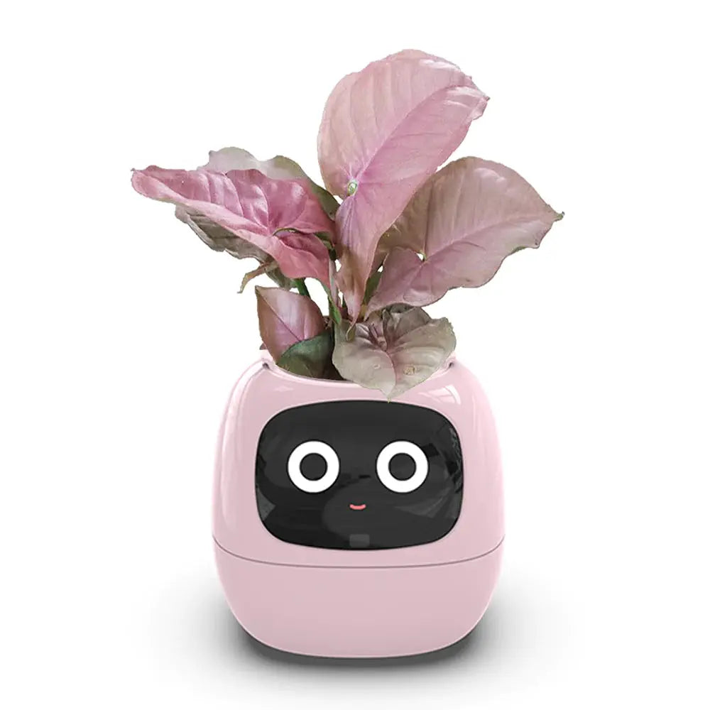 PLANTSIO Ivy Smart Flowerpot: Enhance your indoor or outdoor garden with this innovative smart flowerpot, equipped with advanced technology to monitor and nourish your plants.